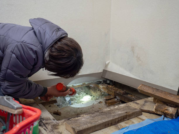 Best Mold Remediation for Rental Properties  in Groveport, OH