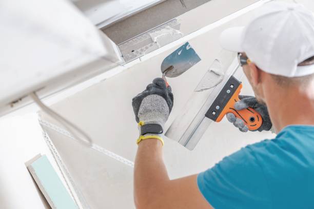 Best Real Estate Mold Inspection  in Groveport, OH